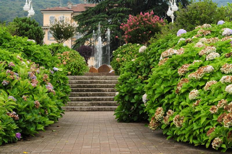 DSC_6899 (Medium).JPG