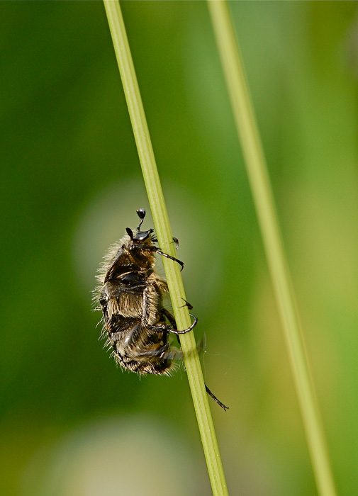 DSC_7577_2.jpg