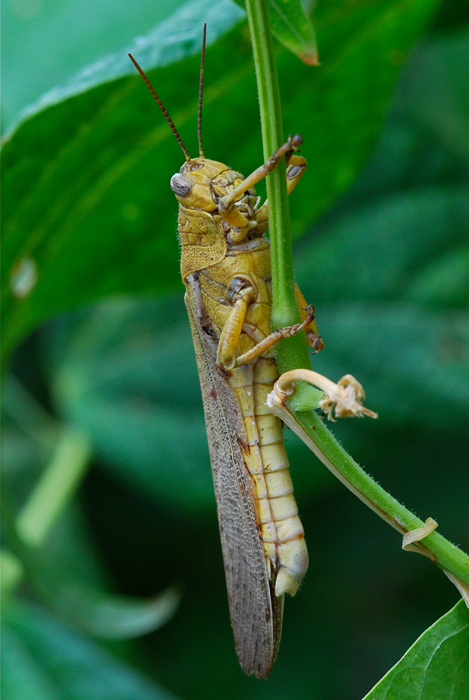 DSC_8021.jpg