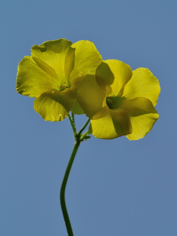 DSC_8110_977.JPG