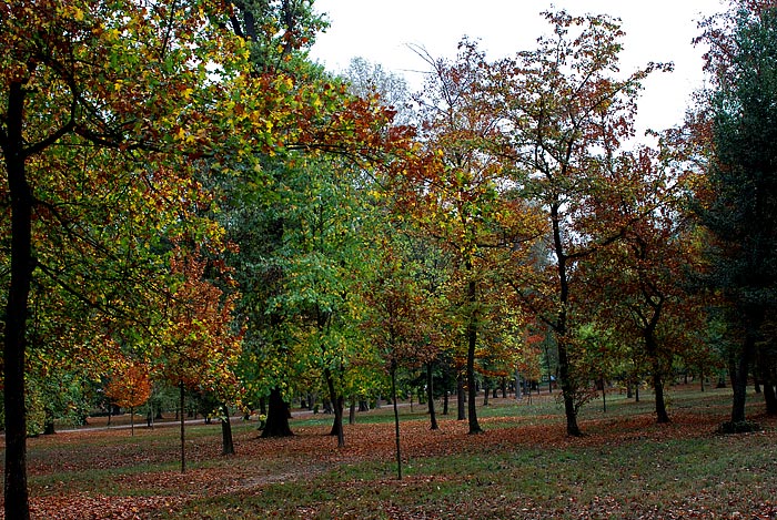 DSC_8767.jpg