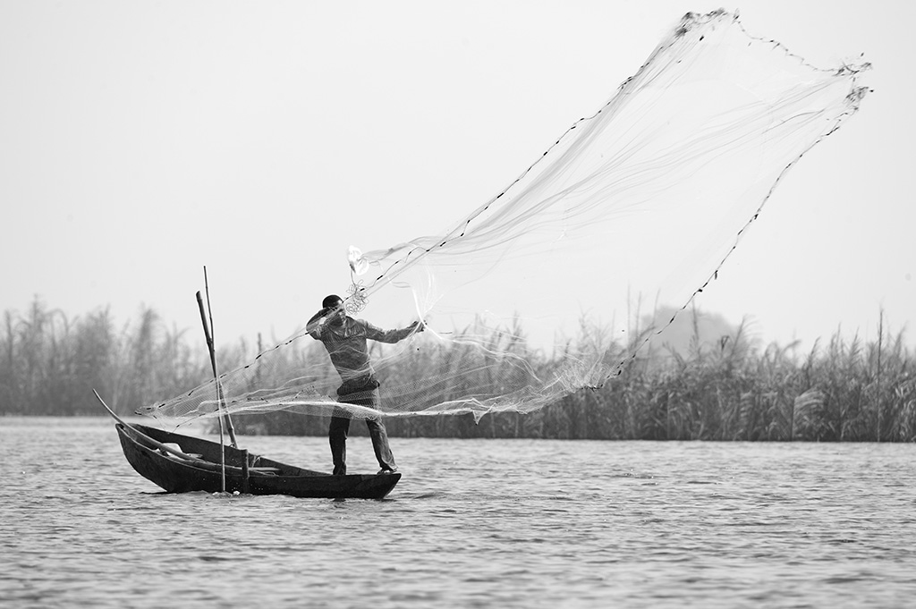 DSC_9237bn.jpg