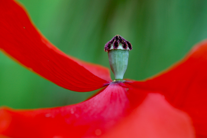 DSC_ 1640.jpg