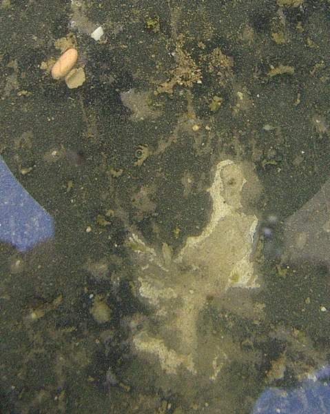 DSCF0018mod.jpg