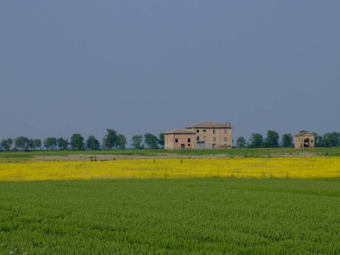 DSCF0094.jpg