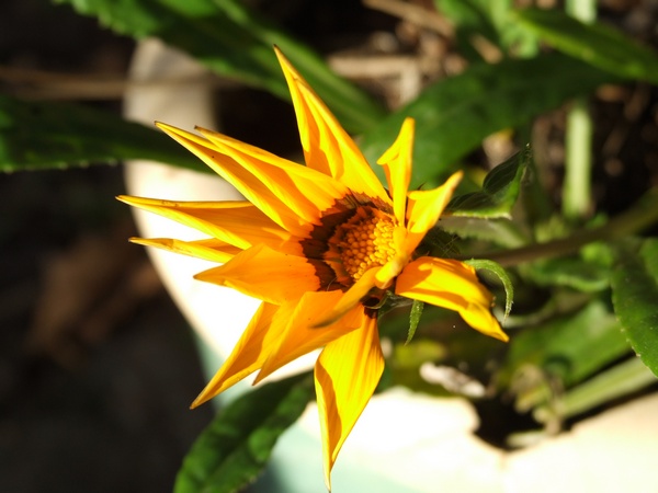 DSCF0120.JPG