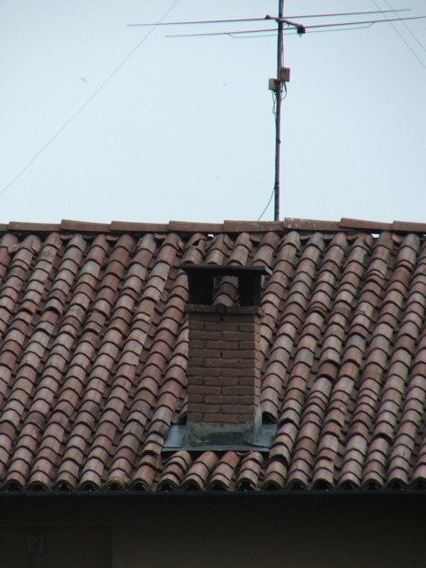 DSCF0276.jpg