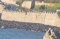 DSCF0371 crop1.jpg