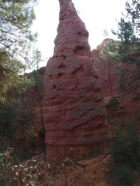 DSCF0404 (450 x 600).jpg