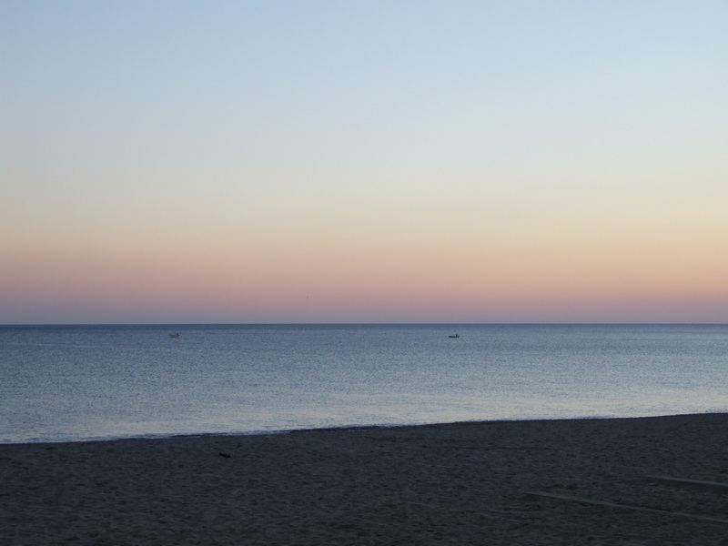 DSCF0455.JPG