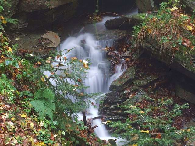 DSCF0519 [640x480].JPG