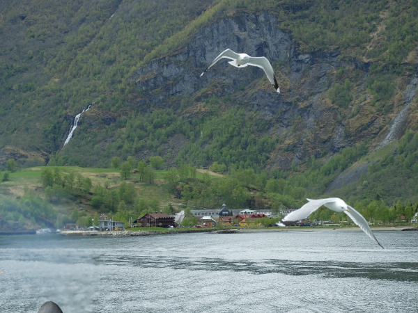DSCF0527.JPG