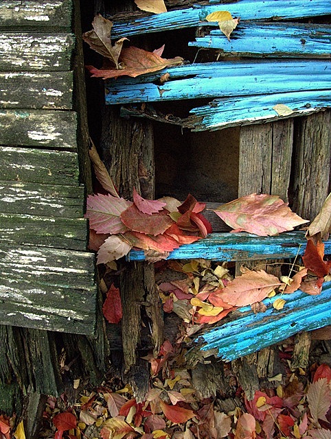 DSCF0711e.jpg