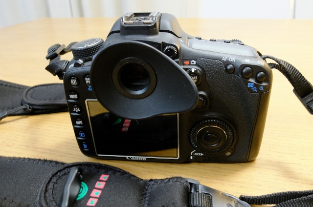 DSCF0836 (1024x678).jpg