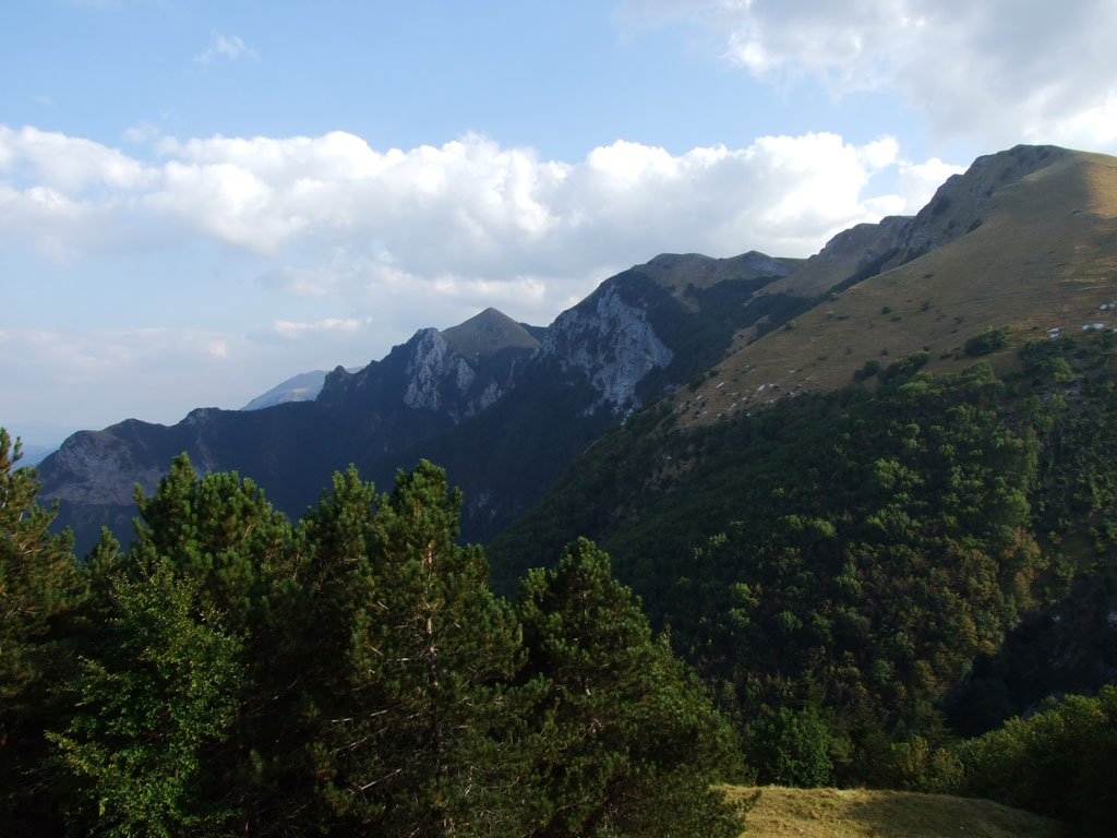 DSCF0856.jpg