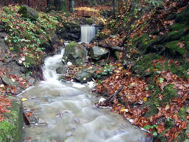 DSCF0941 [640x480].jpg