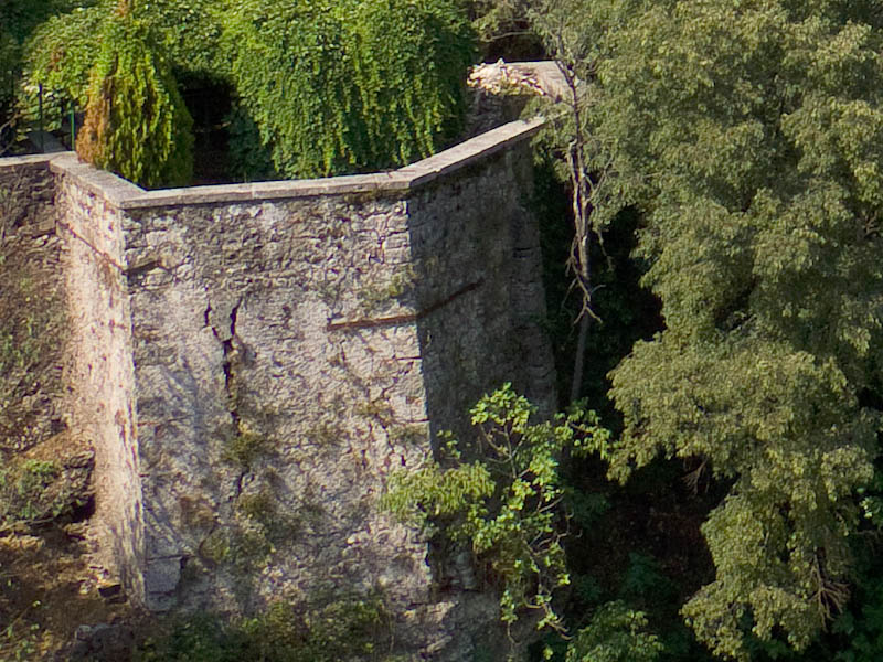 DSCF0945_crop2.jpg