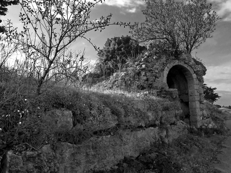 DSCF1219.jpg