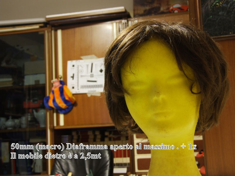 DSCF1361.jpg