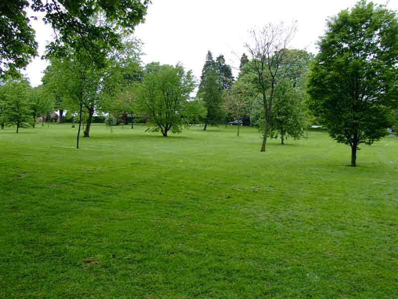 DSCF1533.jpg