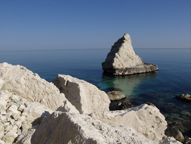 DSCF1572.jpg