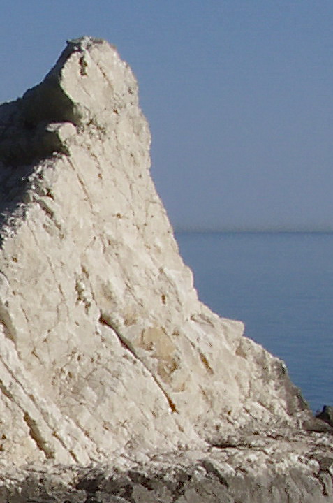 DSCF1572crop.jpg