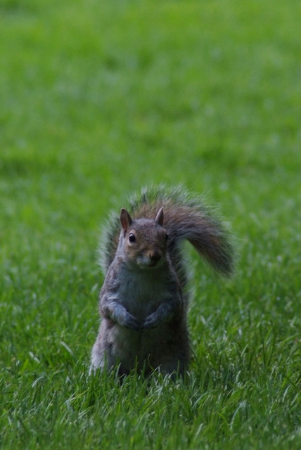 DSCF1685.JPG