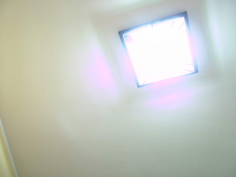 DSCF1721.jpg