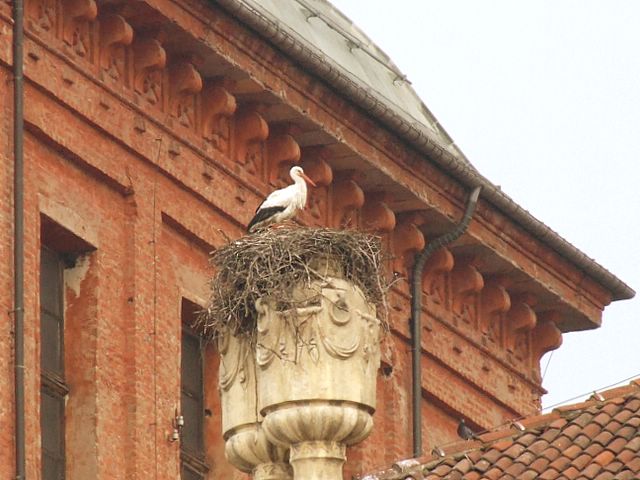 DSCF2063-1.JPG
