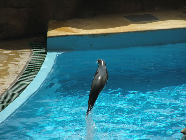 DSCF2099.jpg