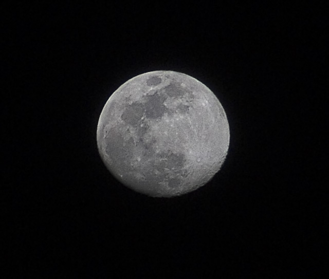 DSCF2192.jpg