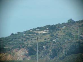 DSCF2451.jpg