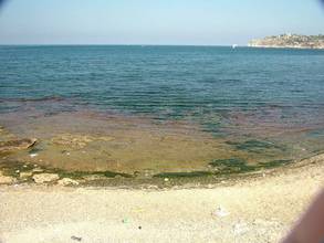 DSCF2465.jpg