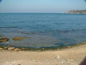 DSCF2466.jpg