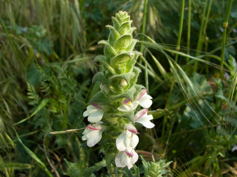 DSCF2792.jpg