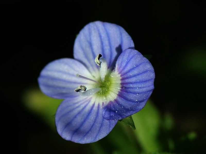 DSCF3356.JPG