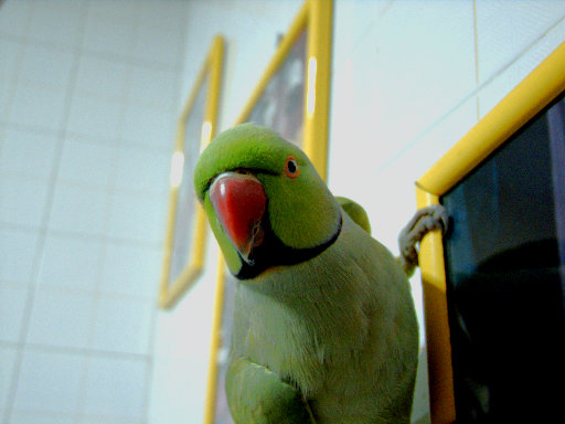 DSCF3714_t_t.JPG