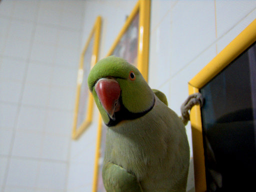 DSCF3714_t_t.JPG