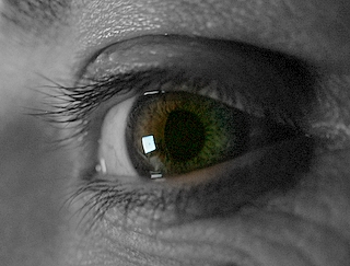 DSCF4072-1.JPG