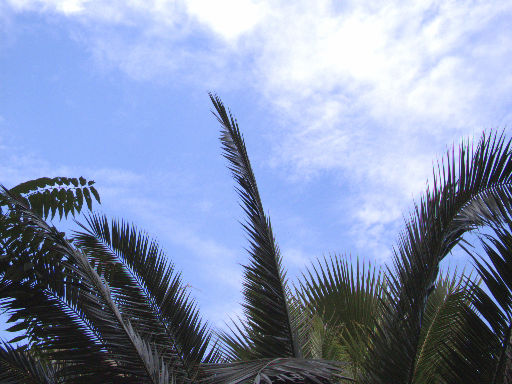 DSCF4330_t.JPG