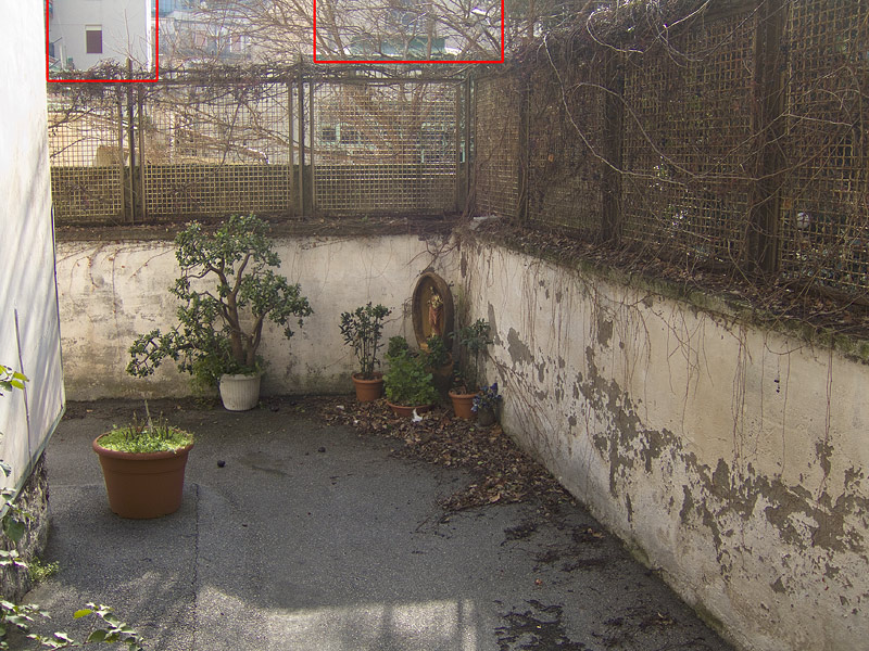 DSCF5137-.jpg