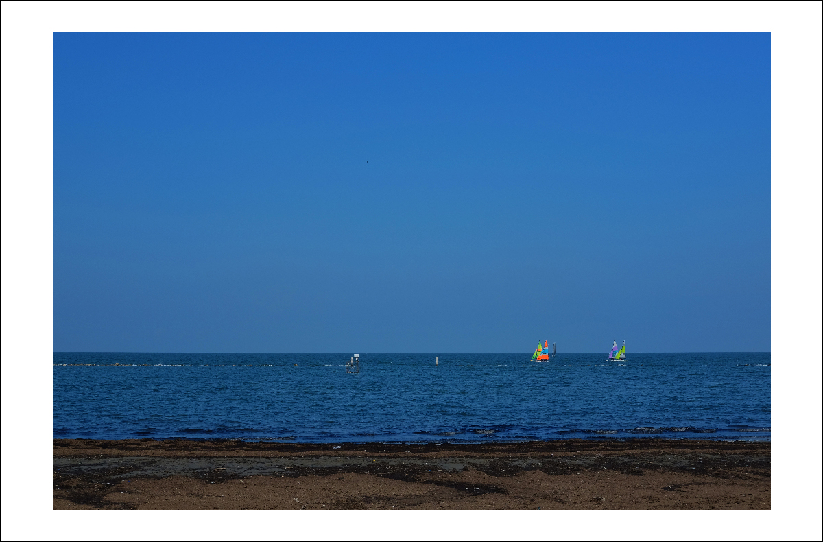 DSCF5271.JPG