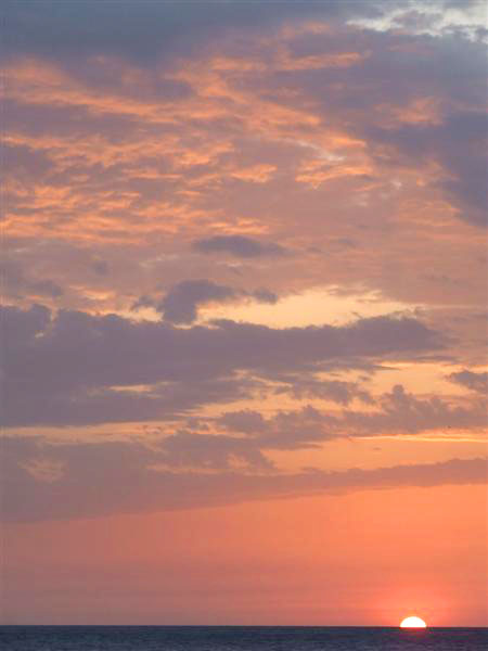 DSCF6360 (Medium).JPG