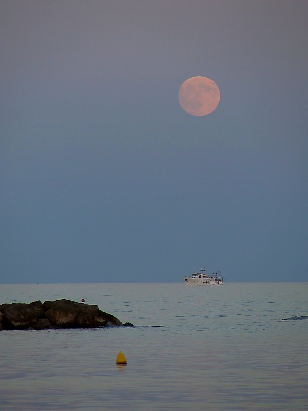 DSCF6653 quater p4u.jpg