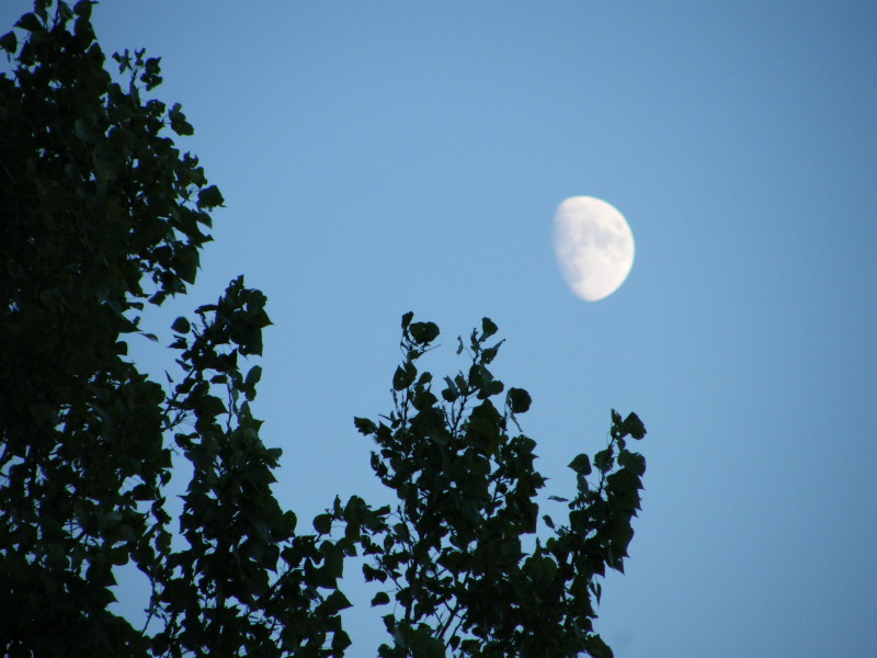 DSCF6882.JPG