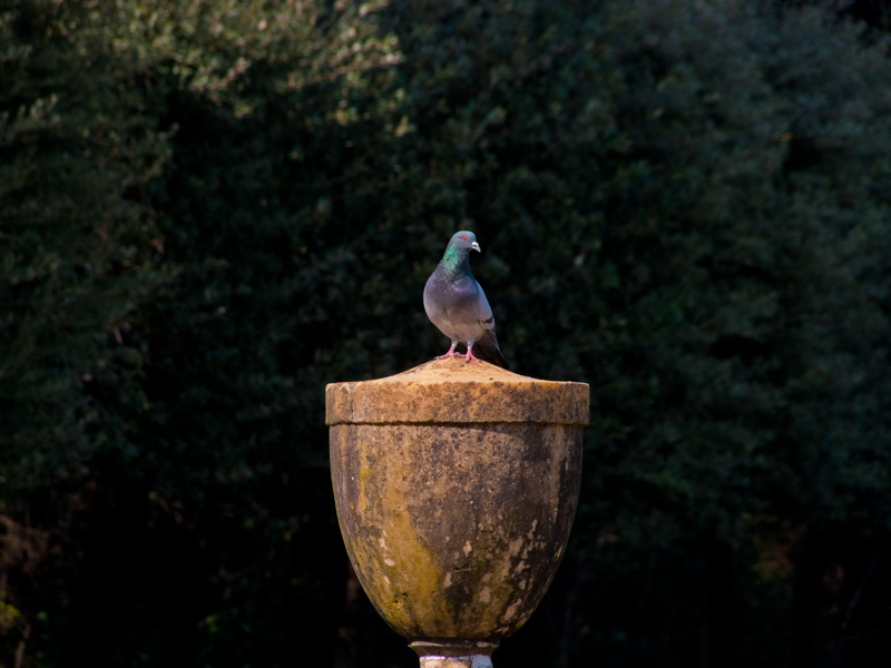 DSCF7150.jpg