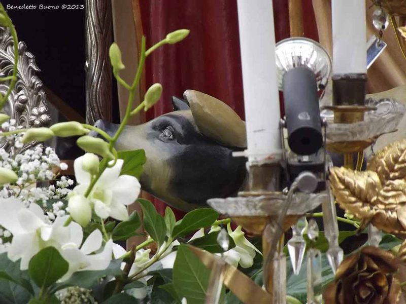 DSCF7907.jpg