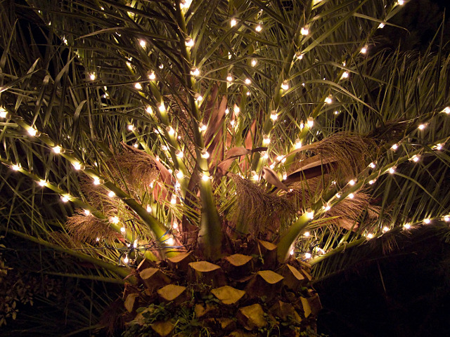 DSCF7957.jpg