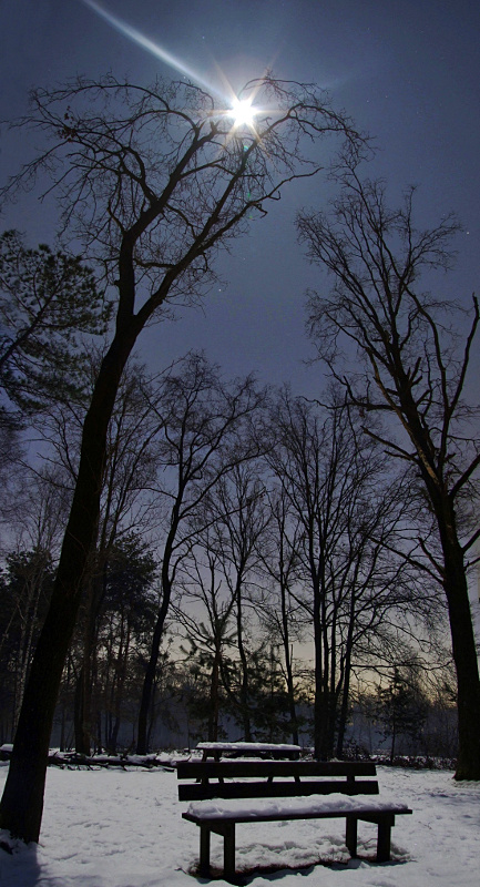 DSCF8025_7.jpg