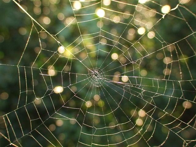 DSCF8365 (Small).JPG